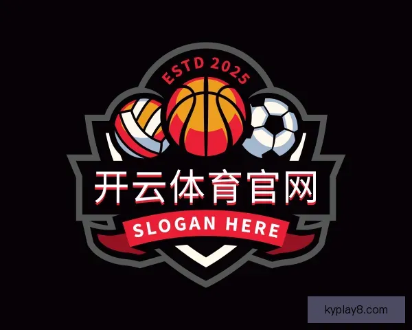 介绍开云体育官网