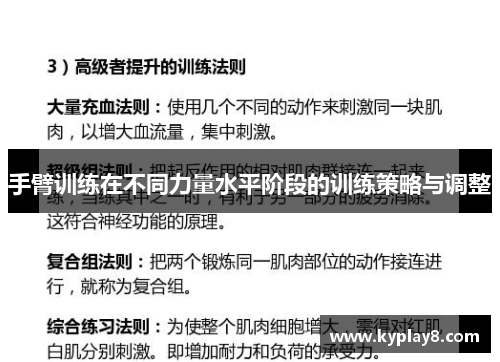 手臂训练在不同力量水平阶段的训练策略与调整